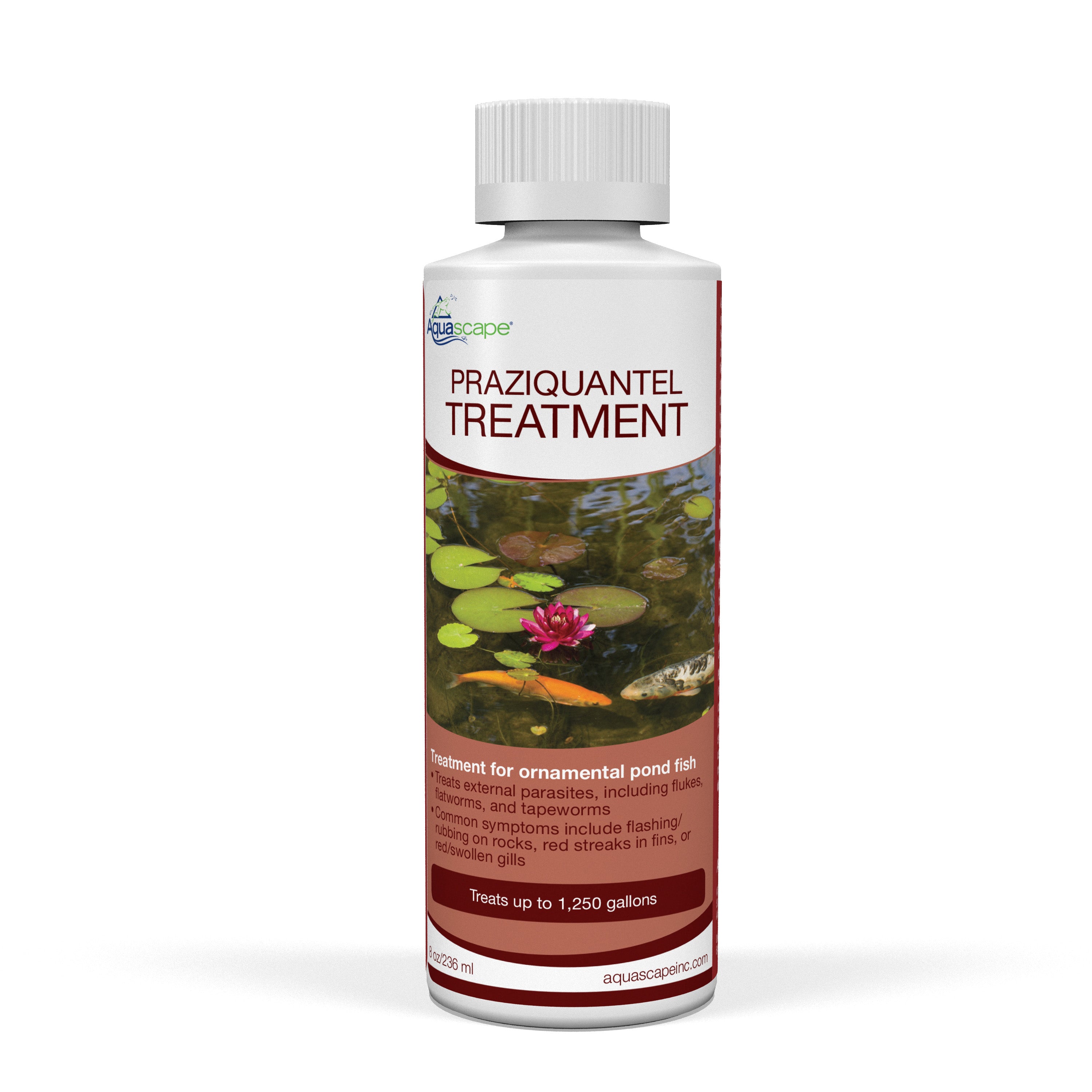 Praziquantrel Treatment - 8 oz/236 ml