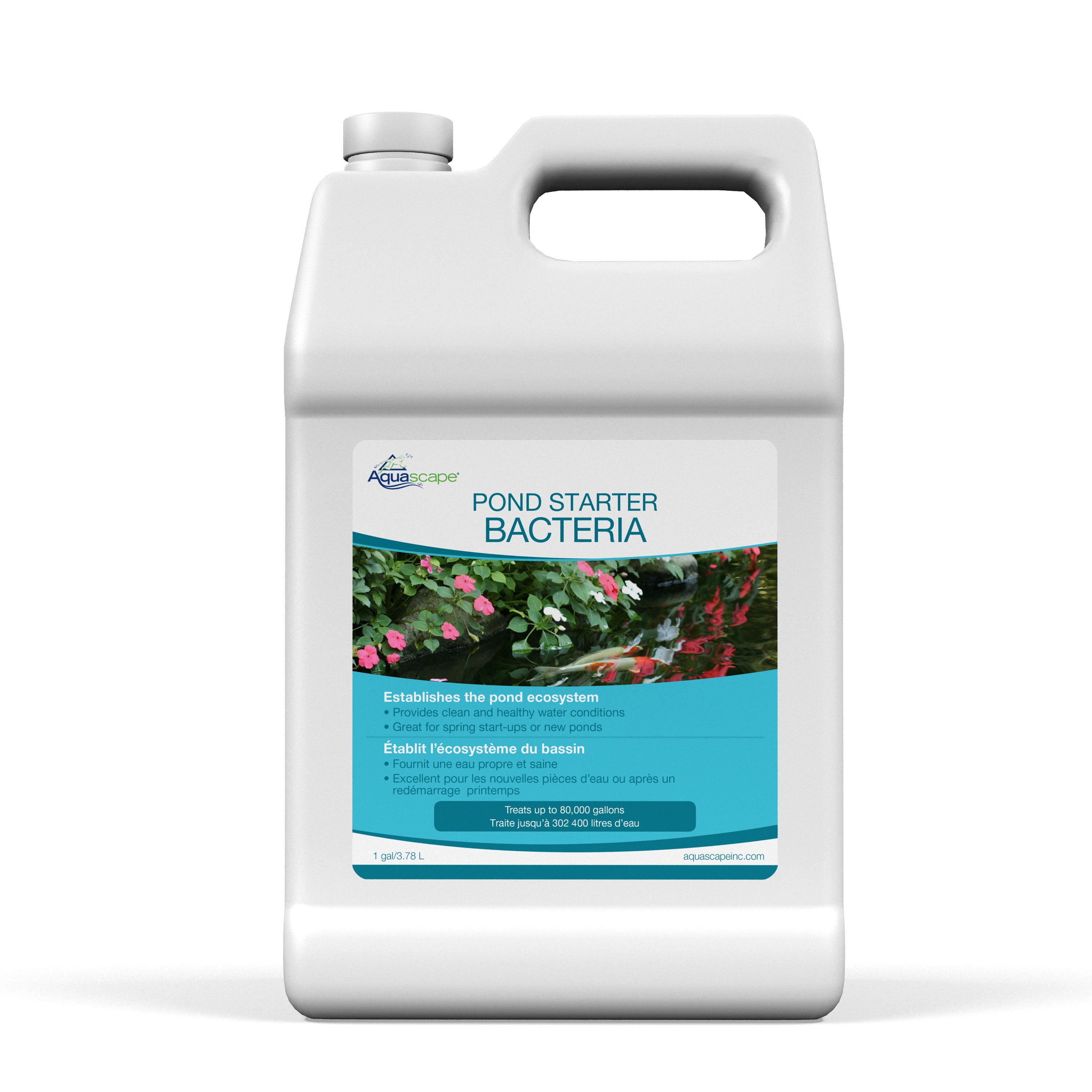 Pond Starter Bacteria