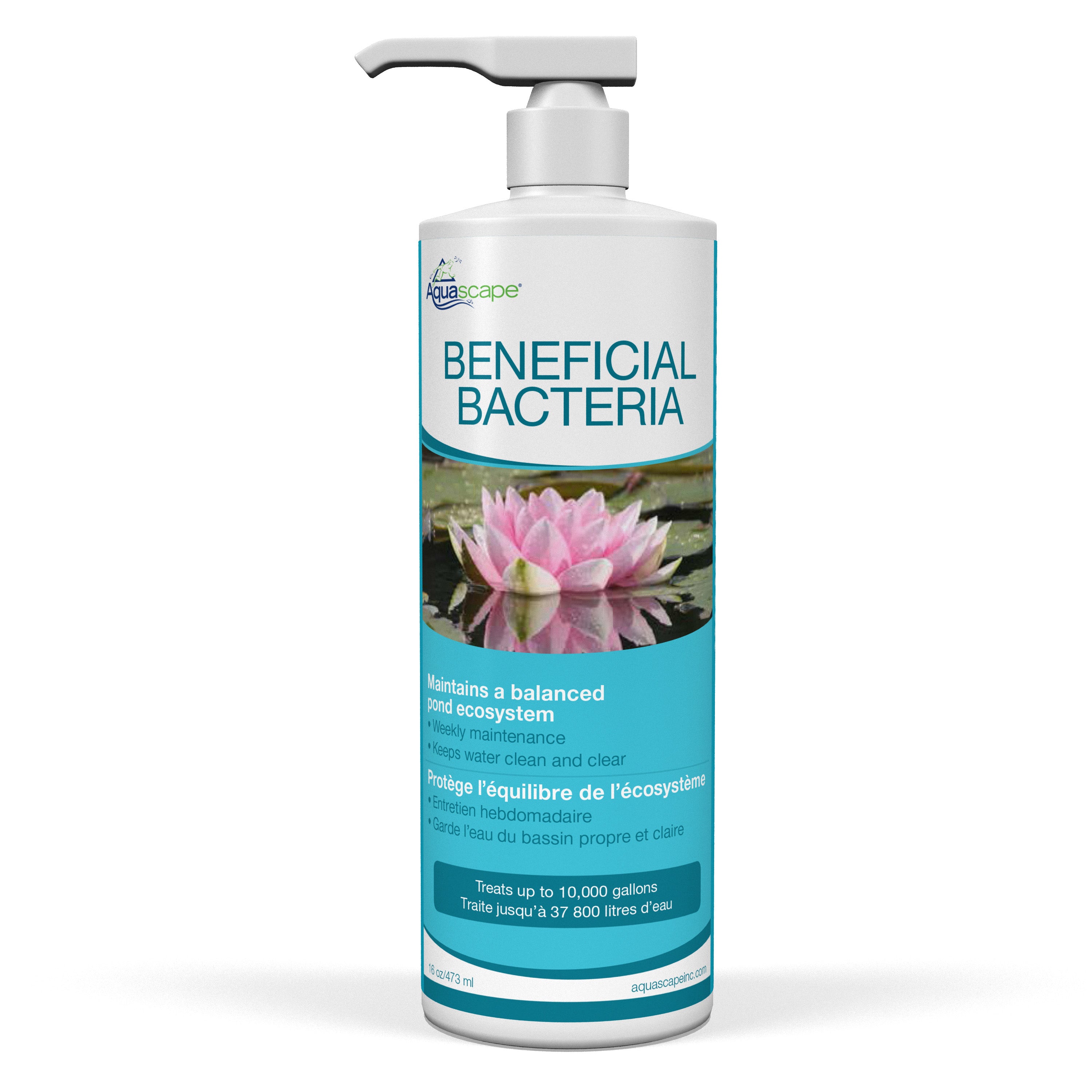 Beneficial Bacteria (Liquid)