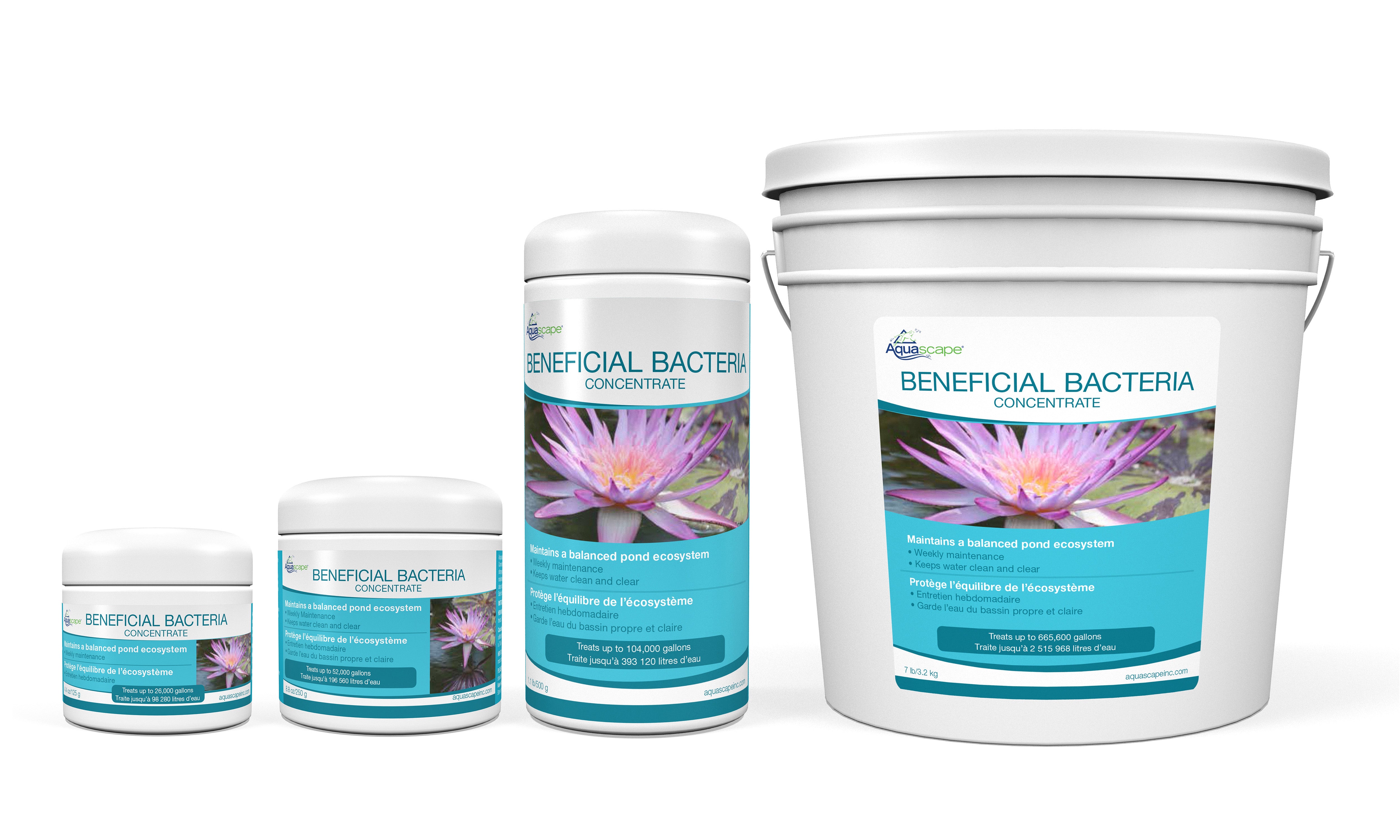 Beneficial Bacteria Concentrate (Dry)