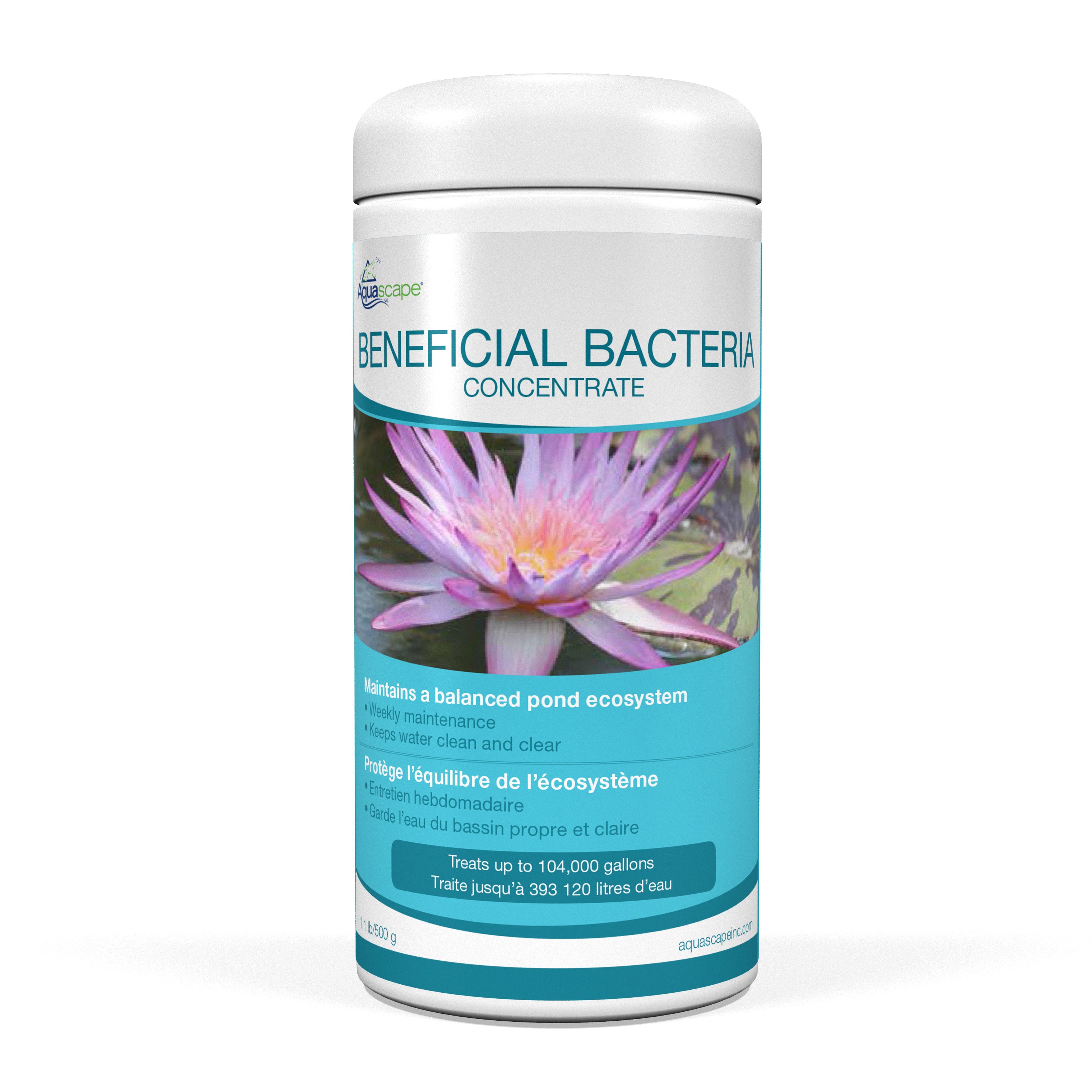 Beneficial Bacteria Concentrate (Dry)