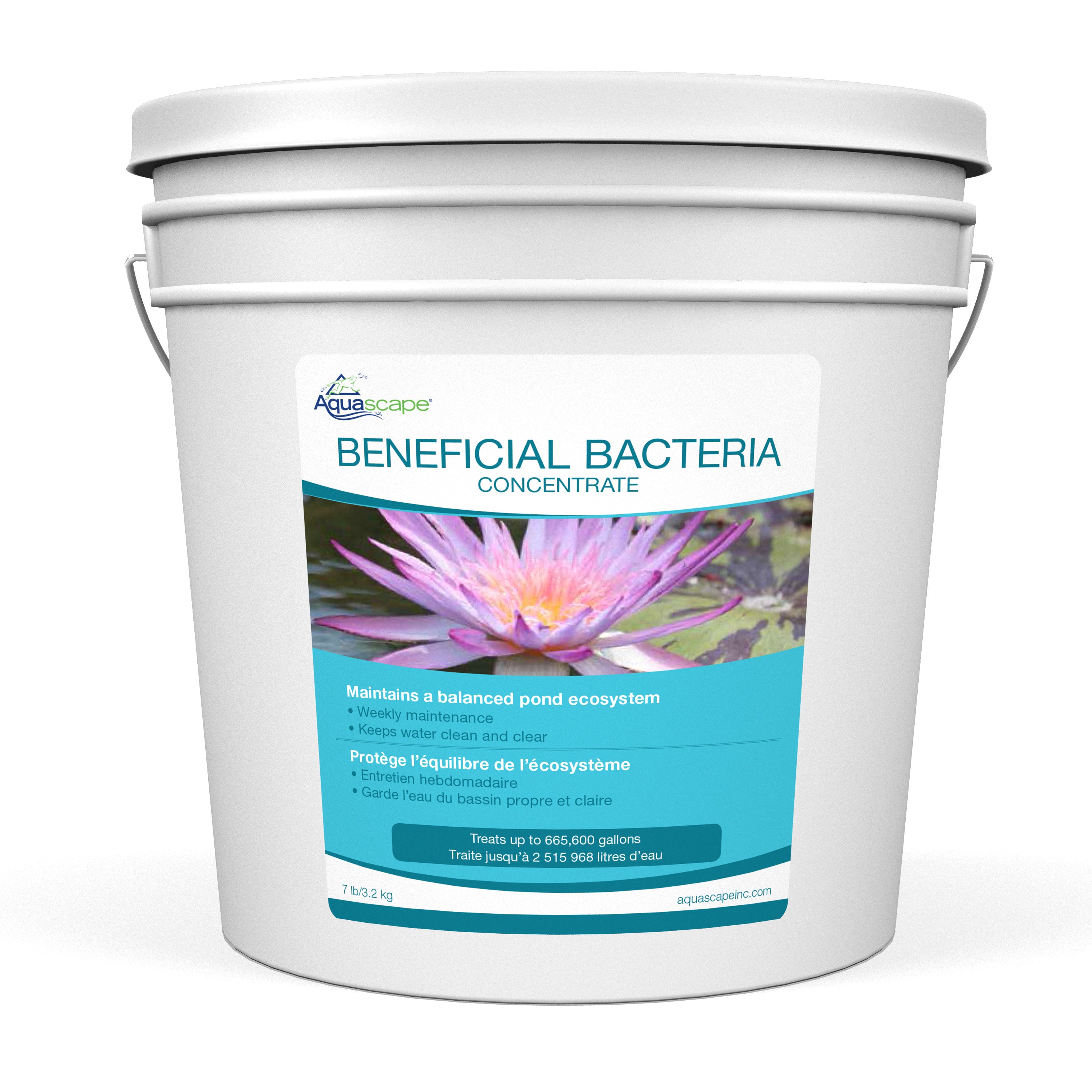 Beneficial Bacteria Concentrate (Dry)