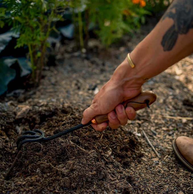 Barebones Cultivator - Walnut