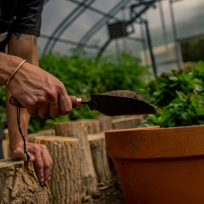 Barebones Garden Scoop - Walnut