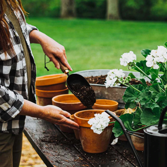 Barebones Garden Scoop - Walnut