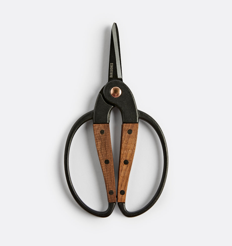 Small Walnut Scissors